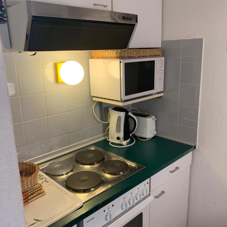 Studio, Bergblick, 2 Betten, 1 Schlafsofa - Apartment mit 1 Schlafzimmer - 10
