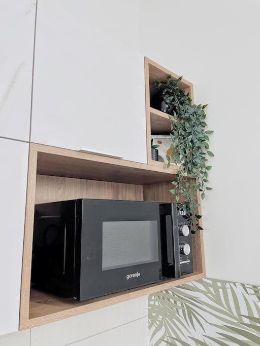 Apartman DE LUX RADIVOJEVIĆ - Apartman sa 2 Spavaće Sobe - 52