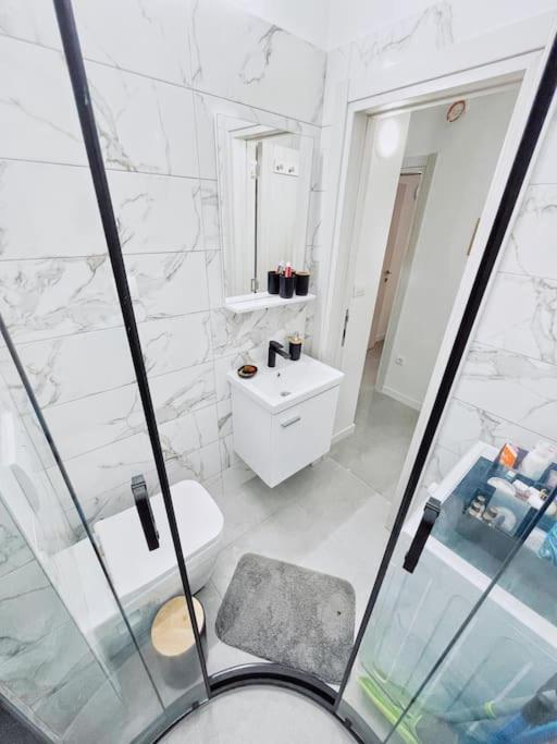 Apartman DE LUX RADIVOJEVIĆ - Apartman sa 2 Spavaće Sobe - 55