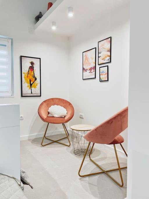 Apartman DE LUX RADIVOJEVIĆ - Apartman sa 2 Spavaće Sobe - 69