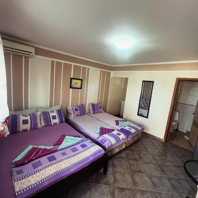 Apartments in villa Viktoria - Studio - 1