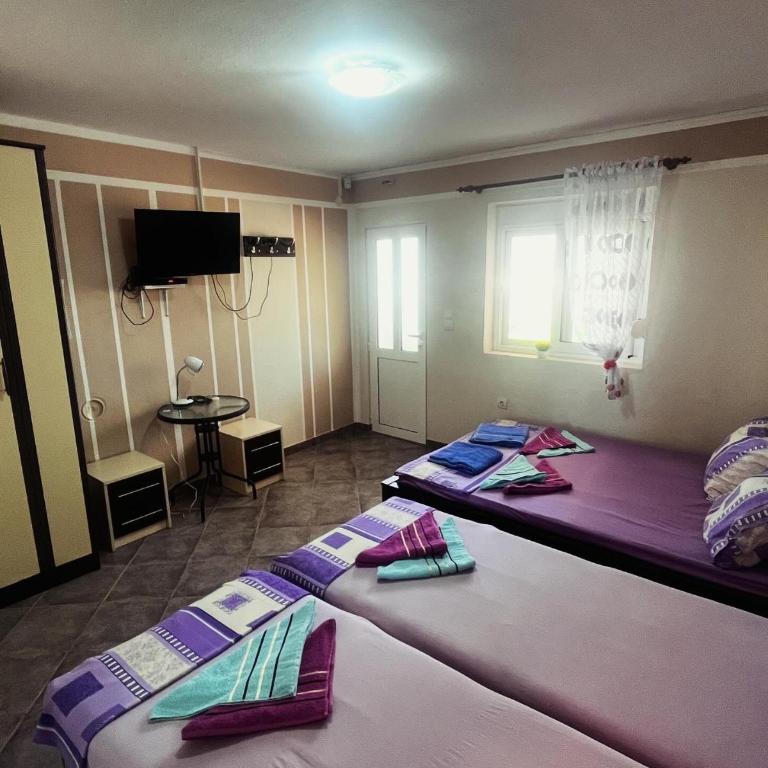 Apartments in villa Viktoria - Studio - 3