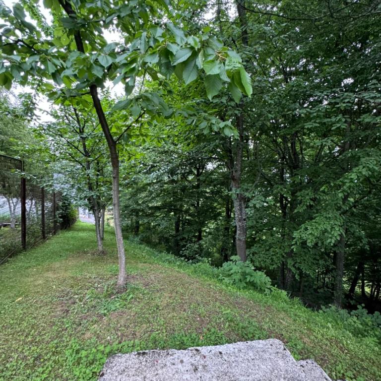 Villa RELAX Miševići - Vila sa 3 Spavaće Sobe - 33