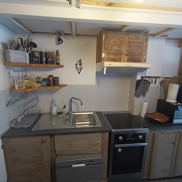 Duplex Argentière, 50m2, 6 pers, idéalement placé - Appartement 2 Chambres - 2
