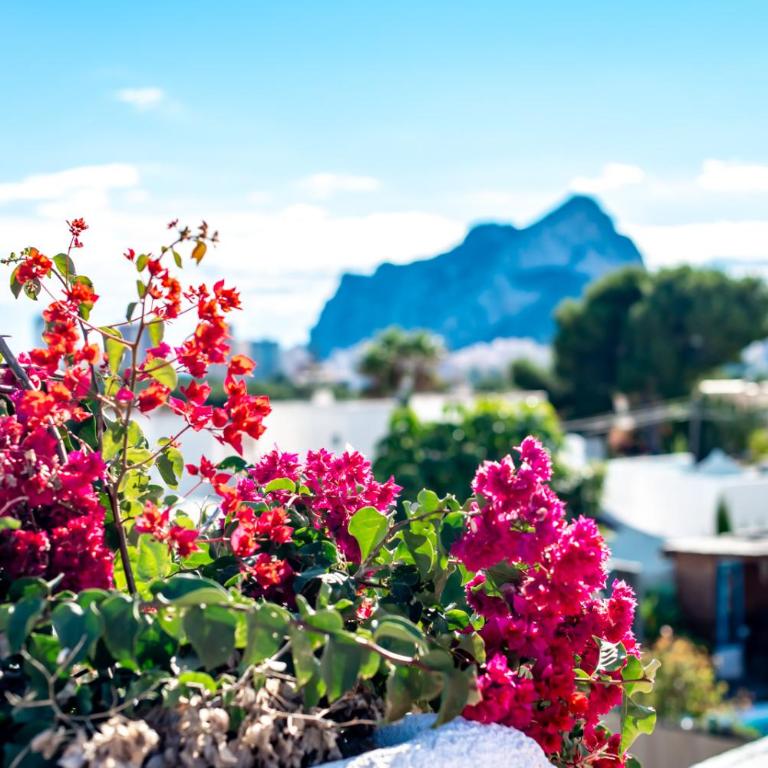 AITANA - Managed by Almarina - Villa with Private Pool - 2
