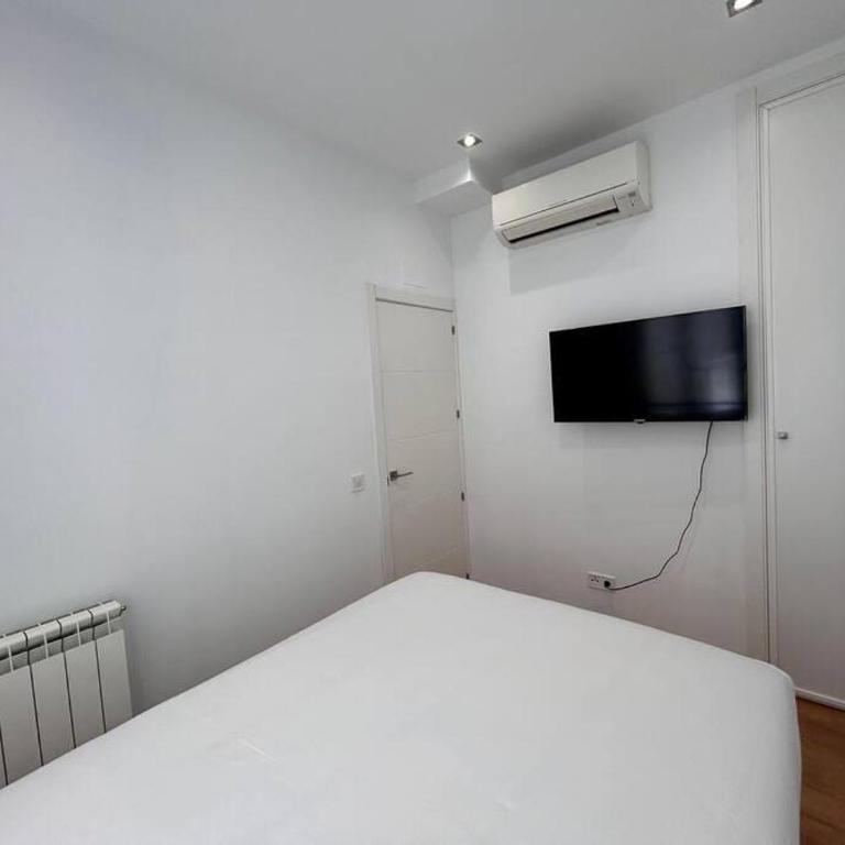 Flat in the Barrio de Las Delicias, Madrid - One-Bedroom Apartment - 3
