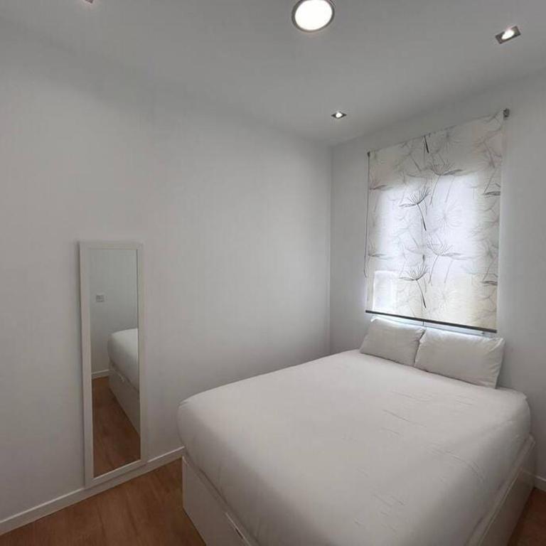 Flat in the Barrio de Las Delicias, Madrid - One-Bedroom Apartment - 6