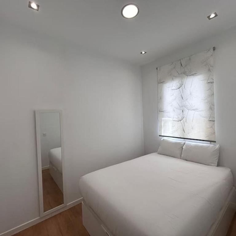 Flat in the Barrio de Las Delicias, Madrid - One-Bedroom Apartment - 9