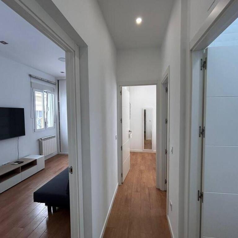 Flat in the Barrio de Las Delicias, Madrid - One-Bedroom Apartment - 10