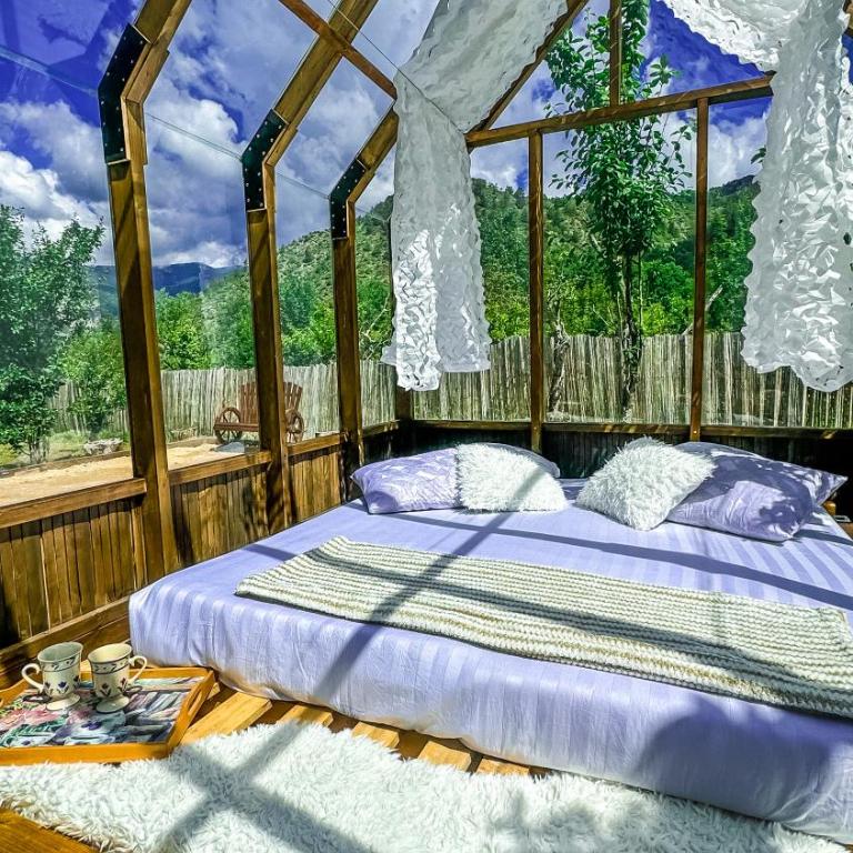 Chalet en verre sous une pluie étoilée - Tente - 1