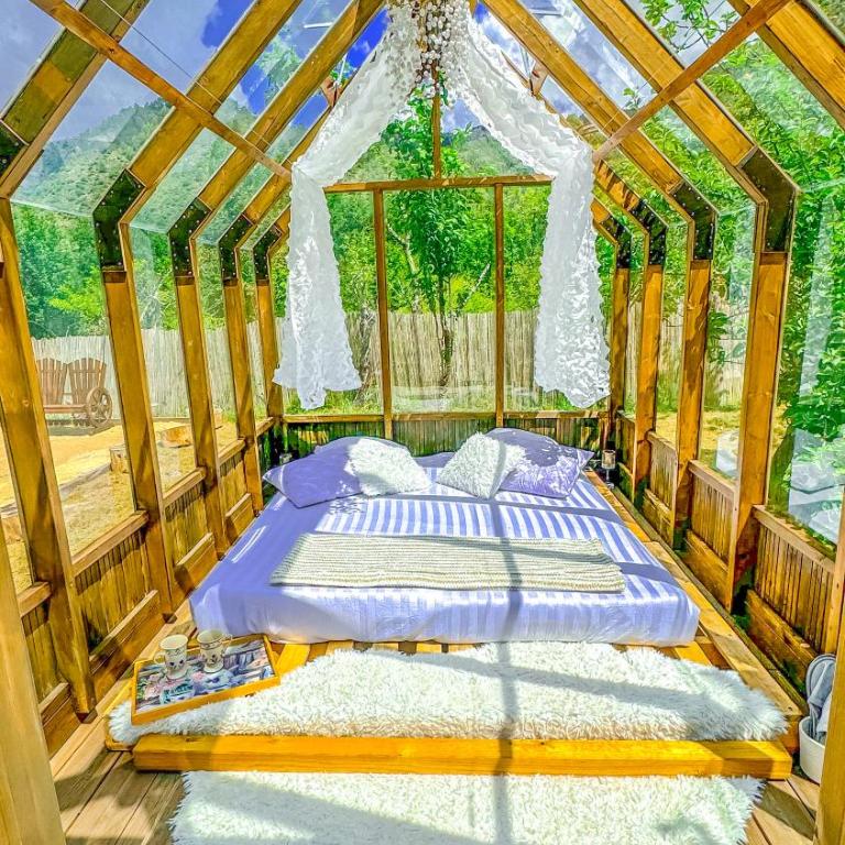 Chalet en verre sous une pluie étoilée - Tente - 2