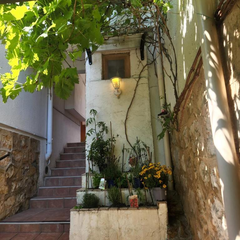2 pièces, Proche centre ville, GIP ASFO, Jardin et Parking Privatifs - Appartement - 11