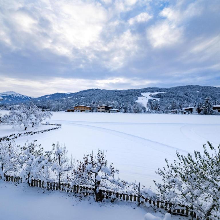 Fuchs Alm - Apartment with Garden View - 4