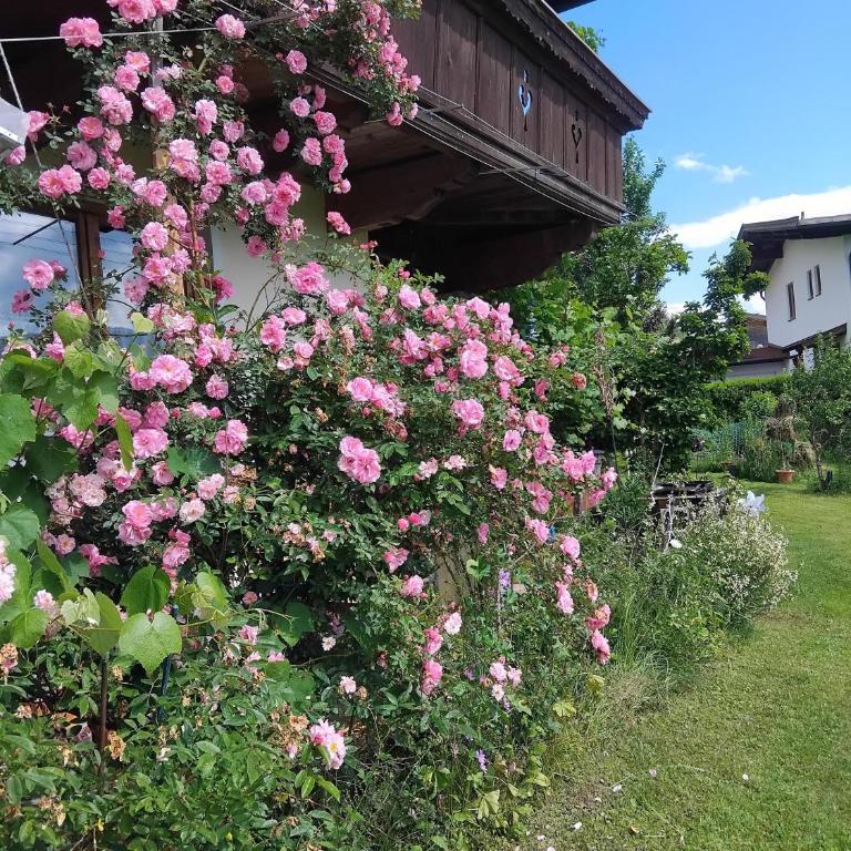 Fuchs Alm - Apartment with Garden View - 21