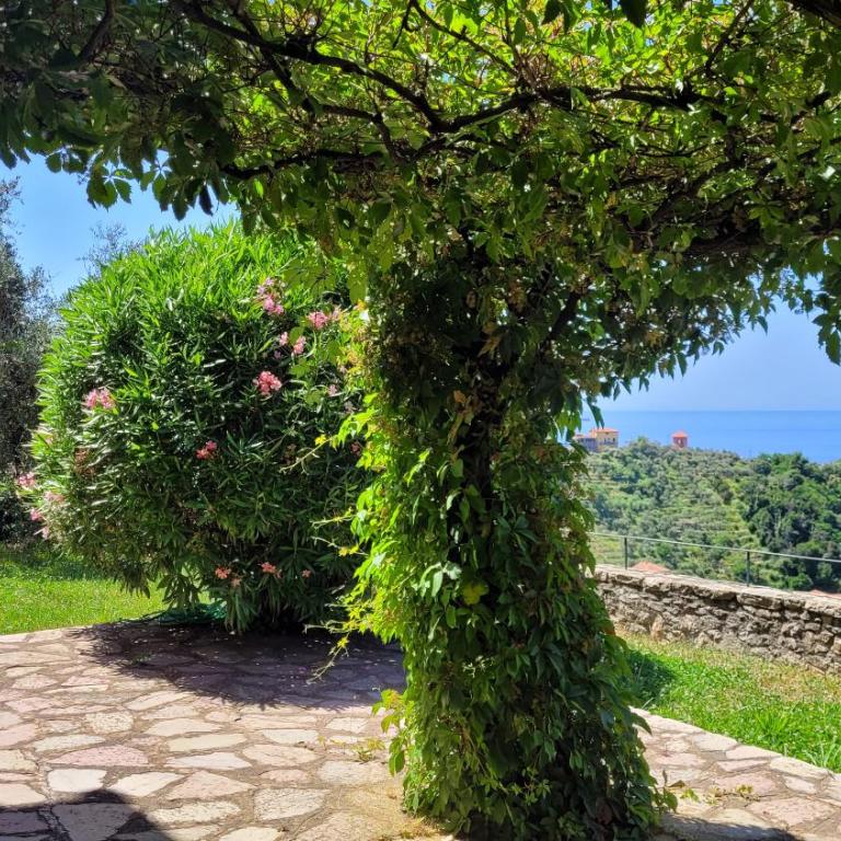 Miralunga Villetta Rossa - Casa con 3 Camere da Letto - 74