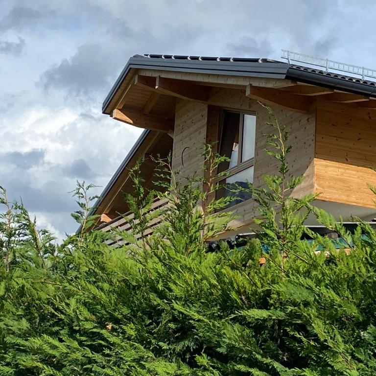 Lagorai Suites - Appartamento con 1 Camera da Letto - 16