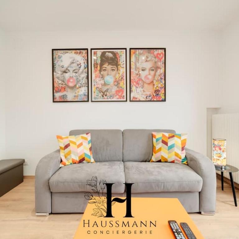 Magnifique Appartement Pop Art Nancy - Appartement 1 Chambre - 12