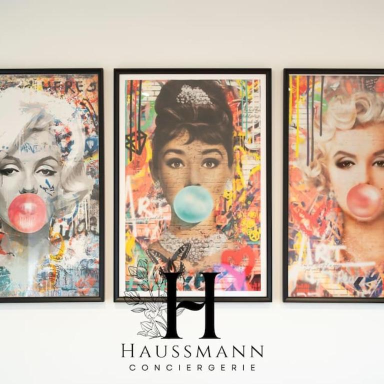 Magnifique Appartement Pop Art Nancy - Appartement 1 Chambre - 19