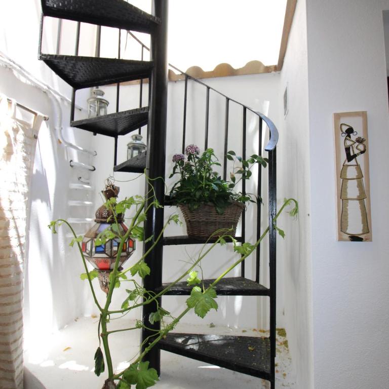 Hostal Las Acacias - Habitación Doble con baño privado - 13