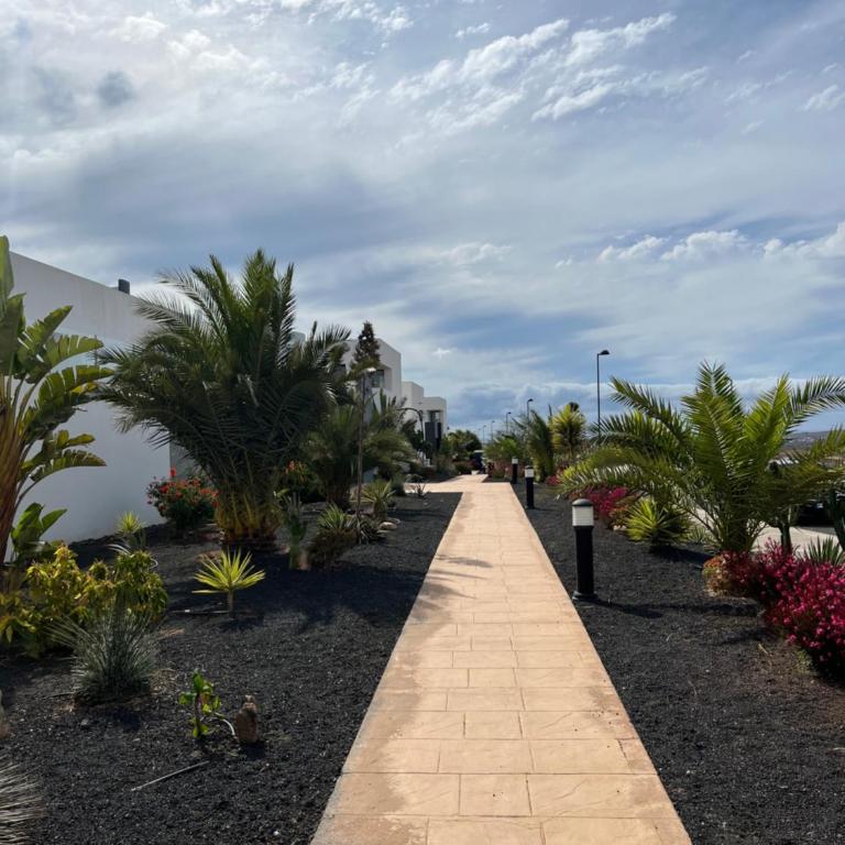 Casita Oliva - Piso de diseño en Fuerteventura - Apartamento de 1 dormitorio - 28