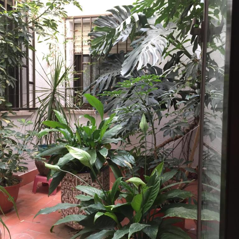 A los pies del castillo, entre las dos playas - Apartamento de 1 dormitorio - 19
