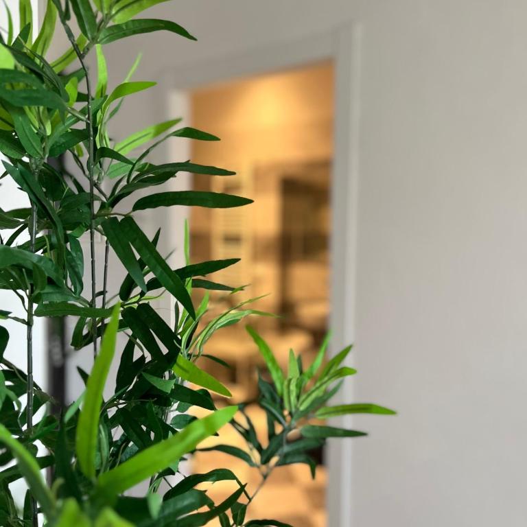 sonnino house - Appartamento con 1 Camera da Letto - 11