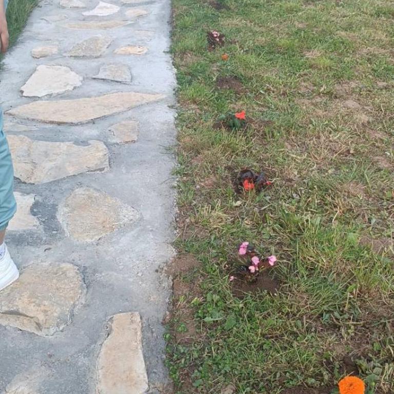 Vila Jasmina - Apartman sa 2 Spavaće Sobe - 73