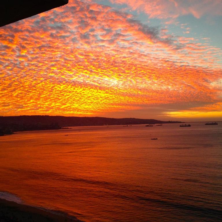 Ocean Pacific Dreams - Superior Apartment - 45
