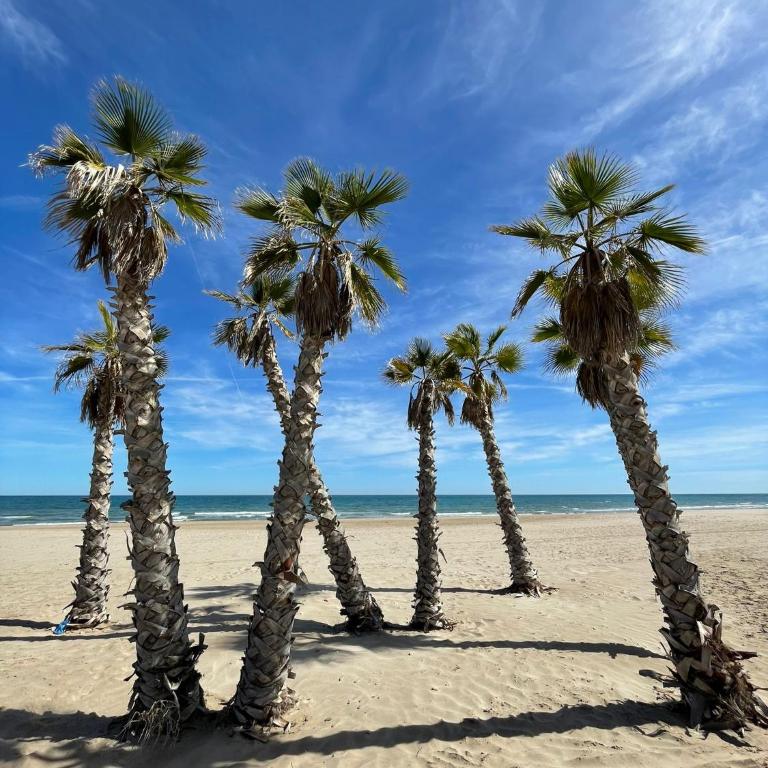 "BOUTIQUE H8" Beach Roof Terrace Infinity Pool Bar SPA Padel Swimming Pool - Apartamento de 1 dormitorio - 61