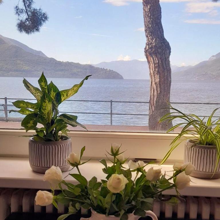 Lake Como PORTO VECCHIO - Charming Lakefront Apartment in the Heart of Domaso - Appartamento con 1 Camera da Letto - 65