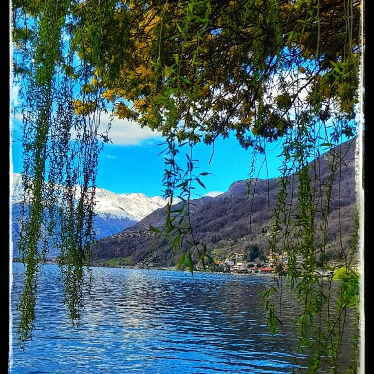 Lake Como PORTO VECCHIO - Charming Lakefront Apartment in the Heart of Domaso - Appartamento con 1 Camera da Letto - 67