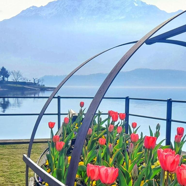 Lake Como PORTO VECCHIO - Charming Lakefront Apartment in the Heart of Domaso - Appartamento con 1 Camera da Letto - 47