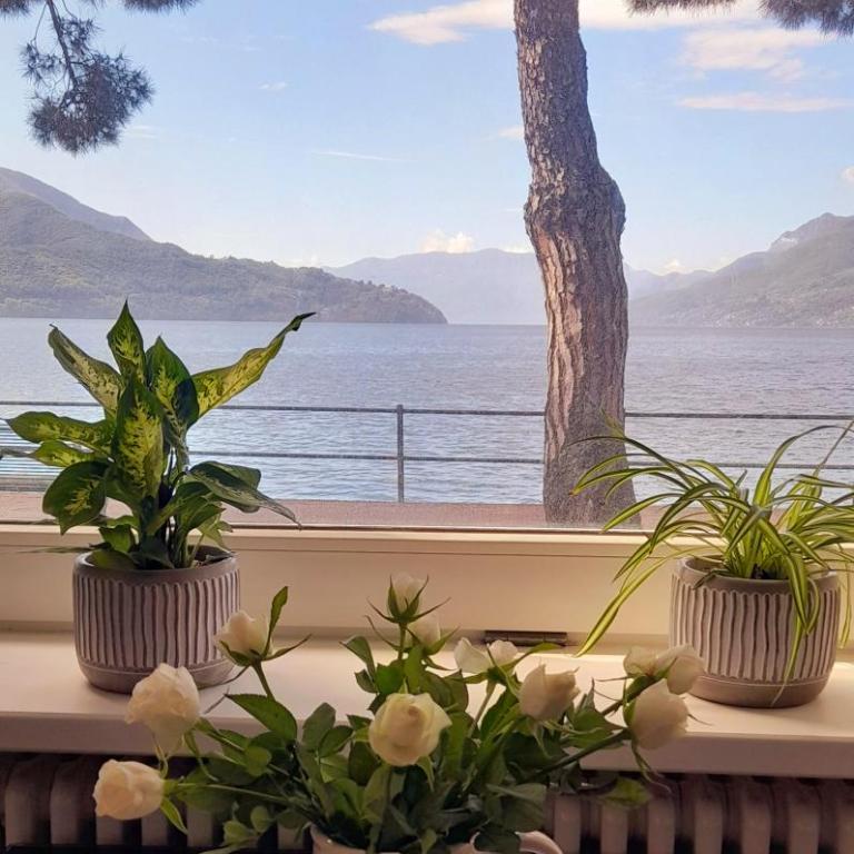 Lake Como PORTO VECCHIO - Charming Lakefront Apartment in the Heart of Domaso - Appartamento con 1 Camera da Letto - 69