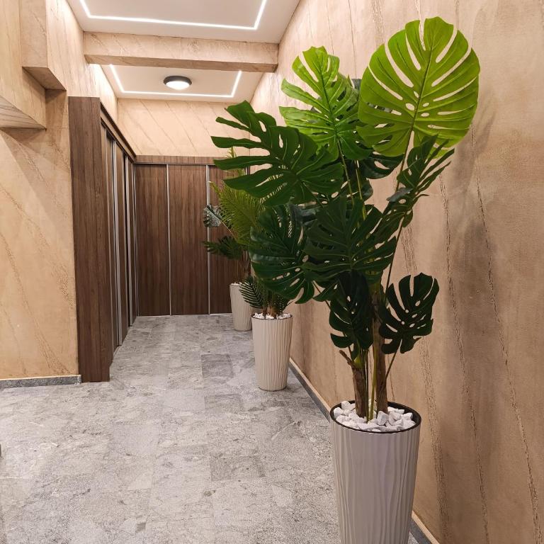 Apartman Rentals Lux KG 1 - Two-Bedroom Apartment - 2