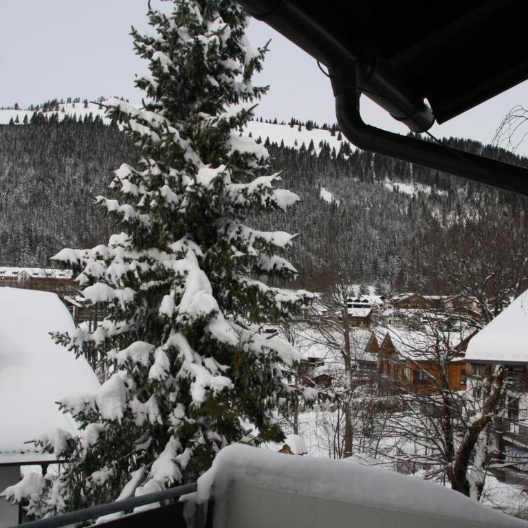 Ferienwohnung Bachmann - Apartment mit 1 Schlafzimmer - 14