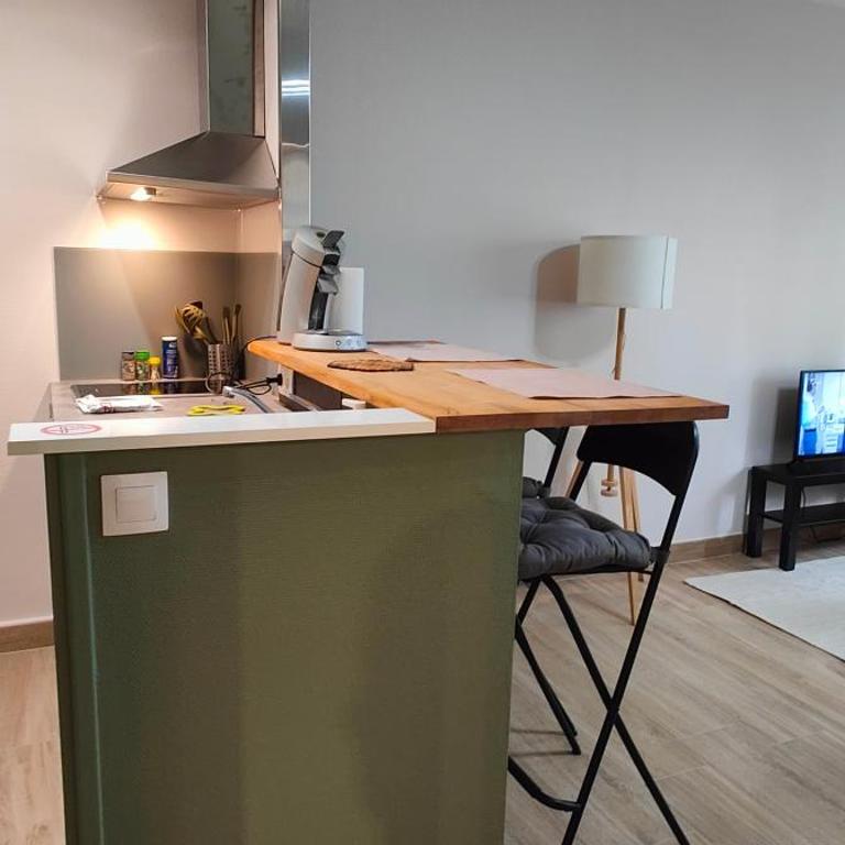 Thabor-centre-METRO-commerces - Appartement 1 Chambre - 11