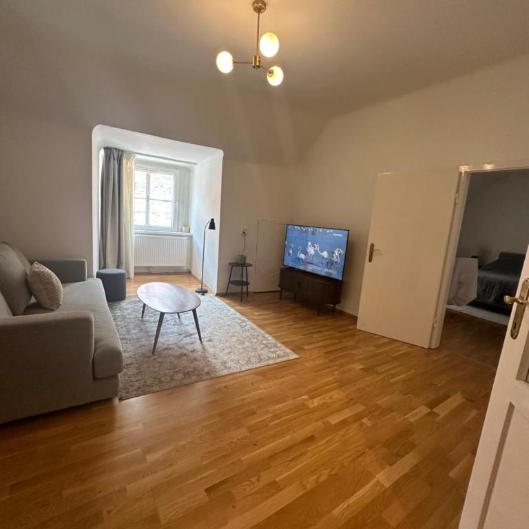 Graz 1464 Historic Apartments, Old Town - Apartment mit 1 Schlafzimmer mit Stadtblick - 1