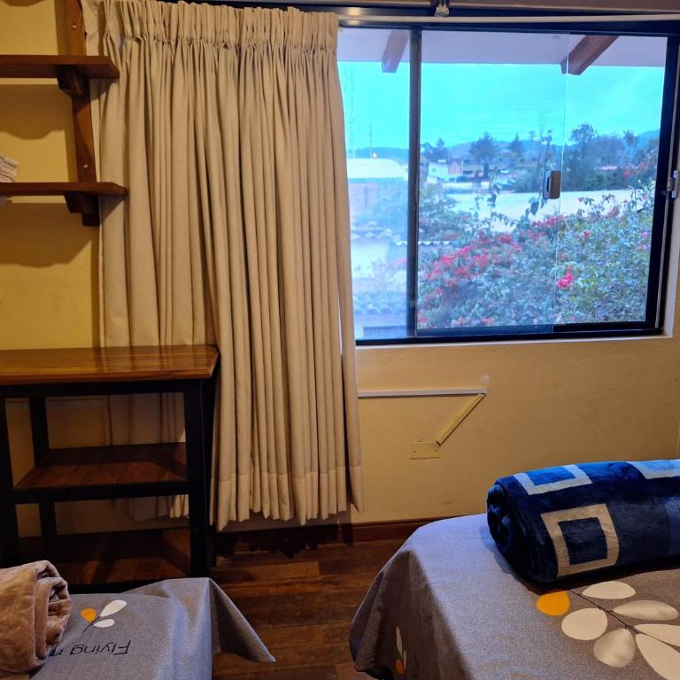 Bella Casa Los Pinos - Casa de 2 dormitorios - 6