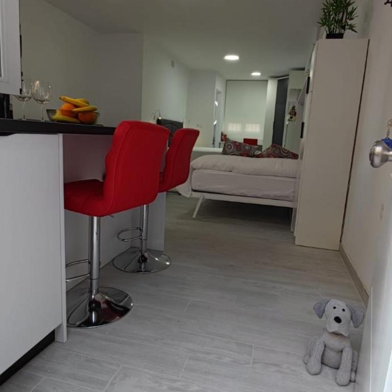 Loft A la verita River,PARKING PRIVADO GRATIS - Apartamento - Planta baja - 43