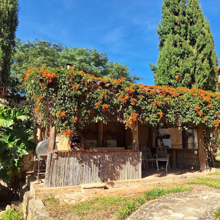 Bella Casa Los Pinos - Casa de 2 dormitorios - 17