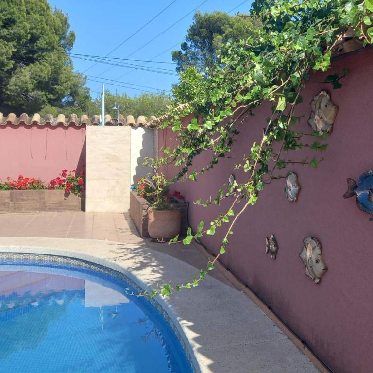 Villa Anna-Altea - Villa de 3 dormitorios - 27