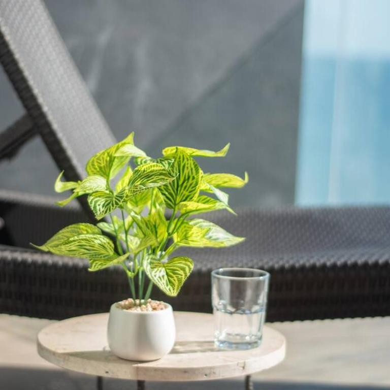 Depa en Malecon con Vista al Mar - Two-Bedroom Apartment - 23