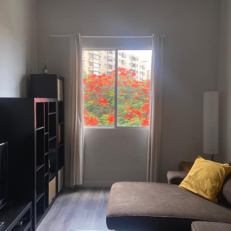 Santa Cruz de Tenerife Toscal, Free Parking gratis - Apartamento - 20