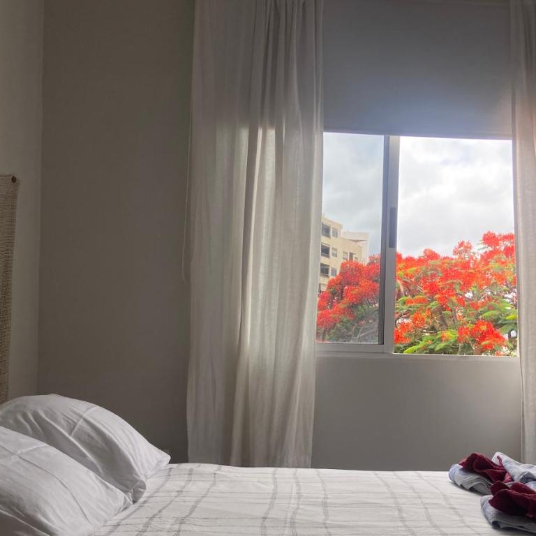 Santa Cruz de Tenerife Toscal, Free Parking gratis - Apartamento - 13
