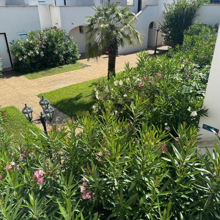 Beach Cannes Bungalows - Holiday Apartments near Cannes - Appartement avec Terrasse - 28