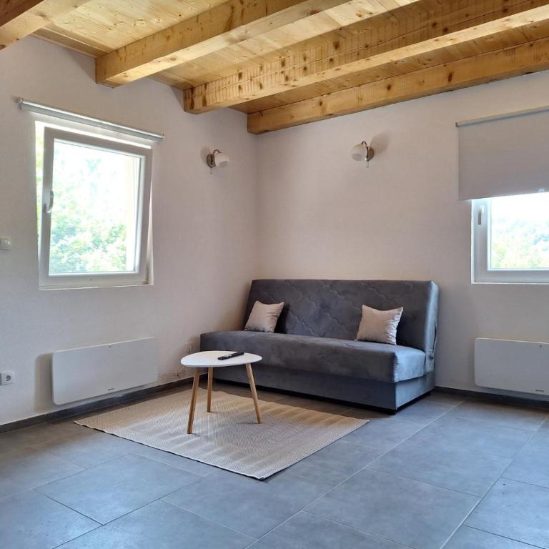 Braun Apartments - Apartman sa 1 Spavaćom Sobom - 1