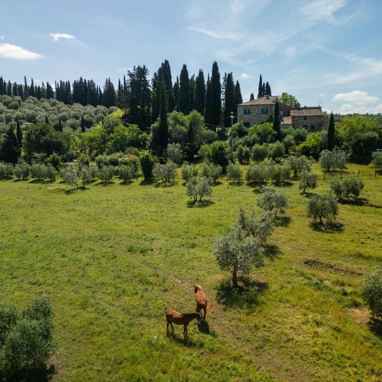 CYPRESSES VILLA with PRIVATE SWIMMING POOL - Casa con 5 Camere da Letto - 22