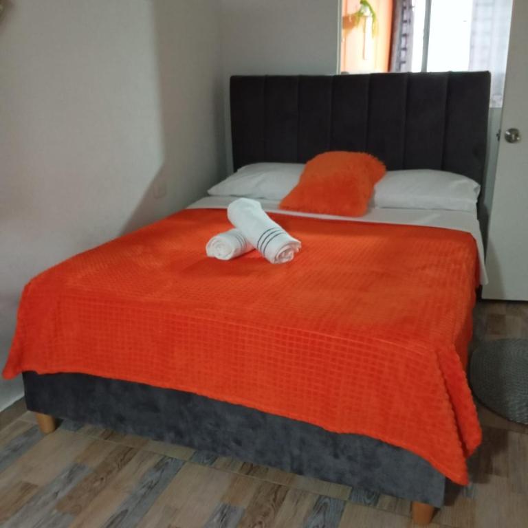 Casa Naranja Salento 2 - Apartamento - Planta baja - 5