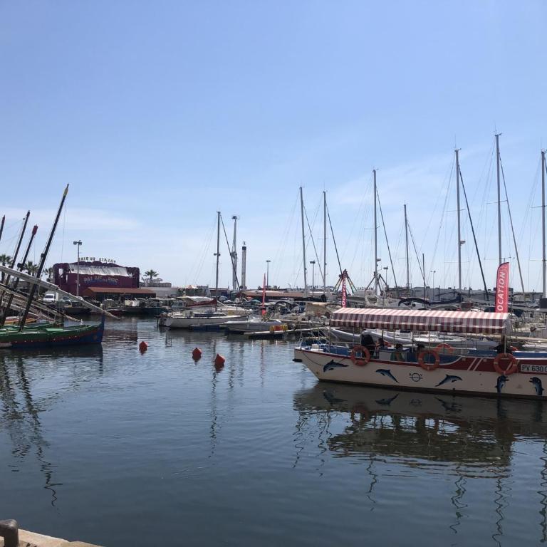 Saint Cyprien T2 Mezzanine 4P avec Parking, Belle vue Lagune et Mer - FR-1-793-11 - Appartamento - 12