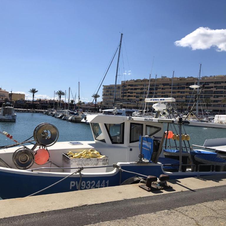 Villa T3 à Saint-Cyprien, 6 pers, Piscine, Terrasse, Proche Plage et Port - FR-1-793-22 - Villa - 13